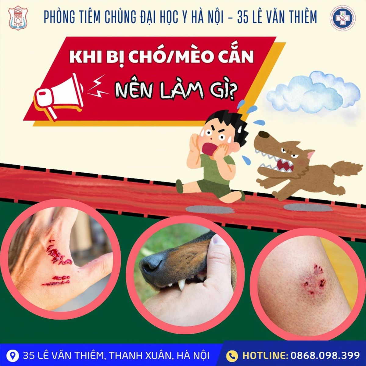 LÀM GÌ KHI BỊ CHÓ, MÈO CẮN HOẶC CÀO?