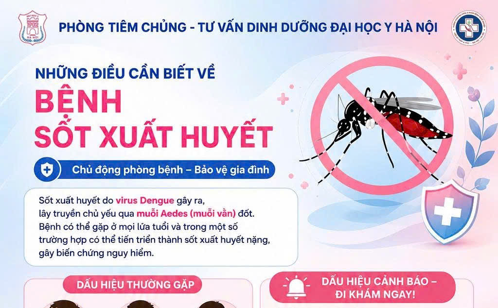 NHỮNG ĐIỀU CẦN BIẾT VỀ BỆNH SỐT XUẤT HUYẾT – CHỦ ĐỘNG PHÒNG BỆNH, BẢO VỆ GIA ĐÌNH!