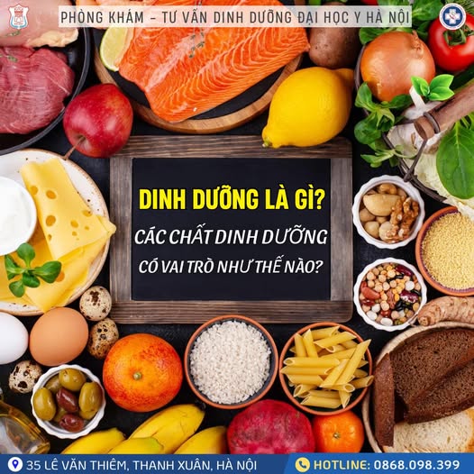 DINH DƯỠNG LÀ GÌ? VAI TRÒ CỦA CÁC CHẤT DINH DƯỠNG ĐỐI VỚI SỨC KHỎE?