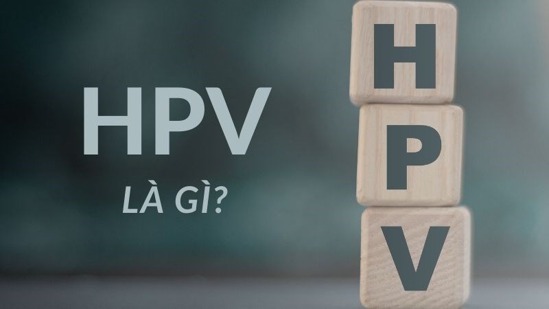 𝐇𝐏𝐕 𝐯𝐢𝐫𝐮𝐬 𝐠𝐚̂𝐲 𝐮 𝐧𝐡𝐮́ 𝐨̛̉ 𝐧𝐠𝐮̛𝐨̛̀𝐢? 